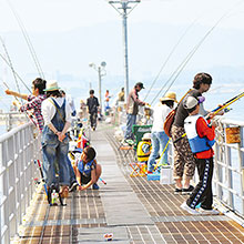 Fishing Park Hikari