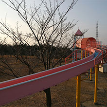 Roller slide