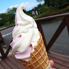 山桃冰淇淋