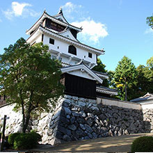 Iwakuni Castle