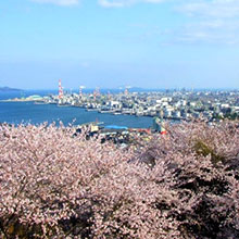 龜井公園