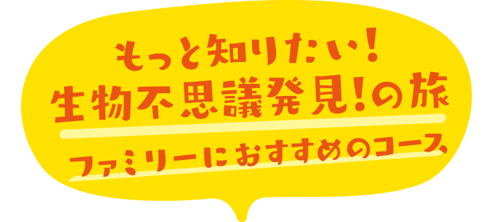 生物不思議発見！の旅